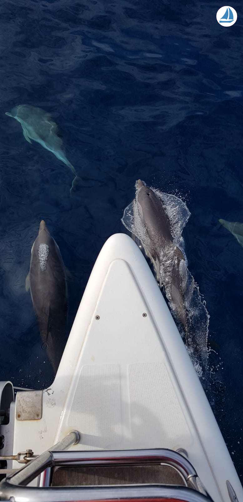 Foto Lagoon 500 7