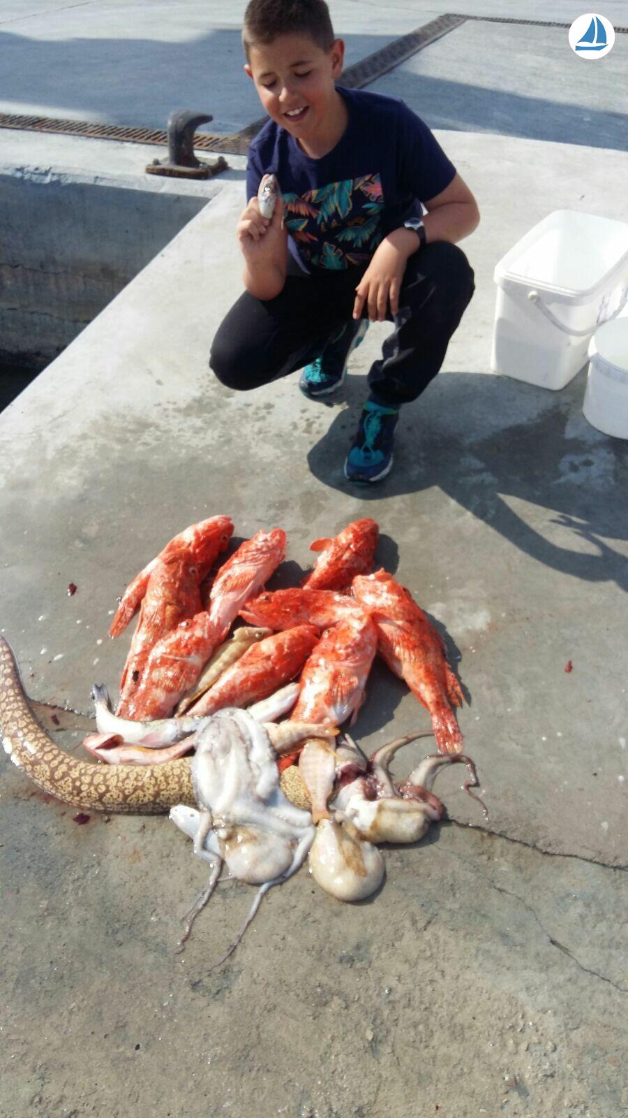 Foto Marabic llaut 800 4