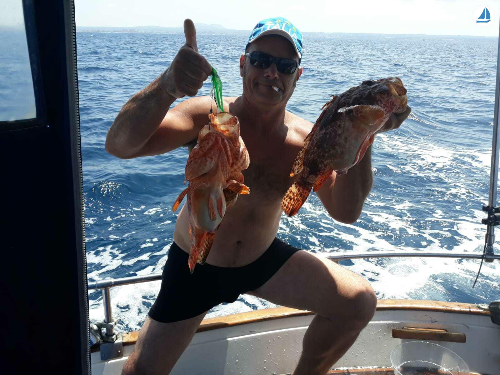 Foto Marabic llaut 800 5