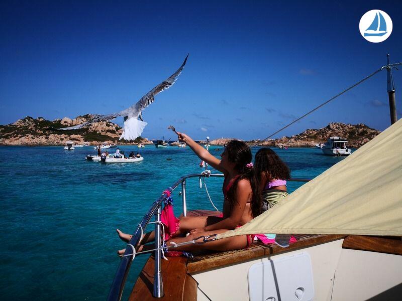 Foto Corsican Vedetta francese 50