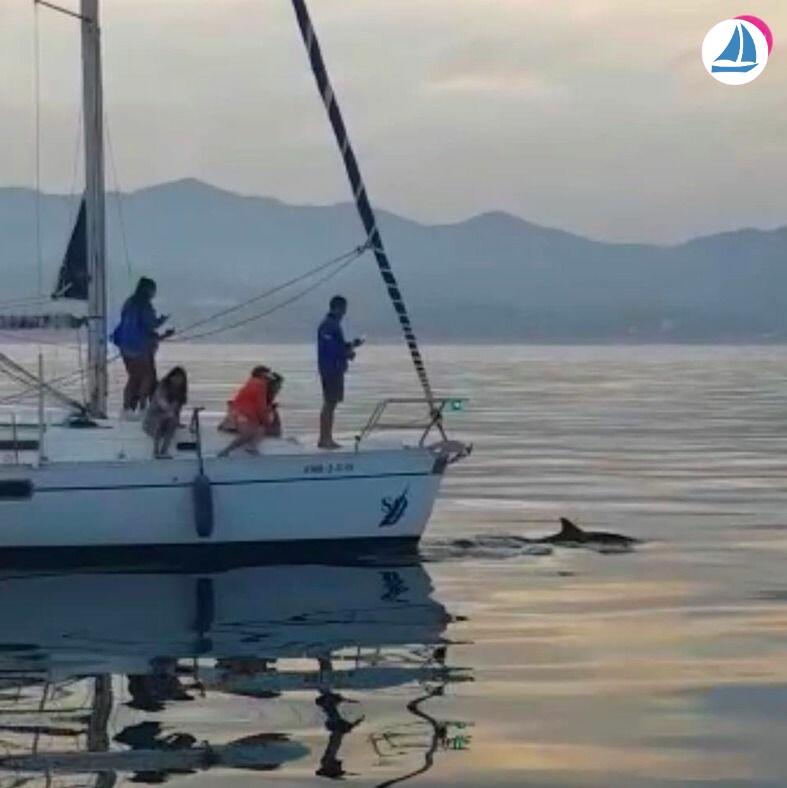 Foto Beneteau OCEANIS 351 5