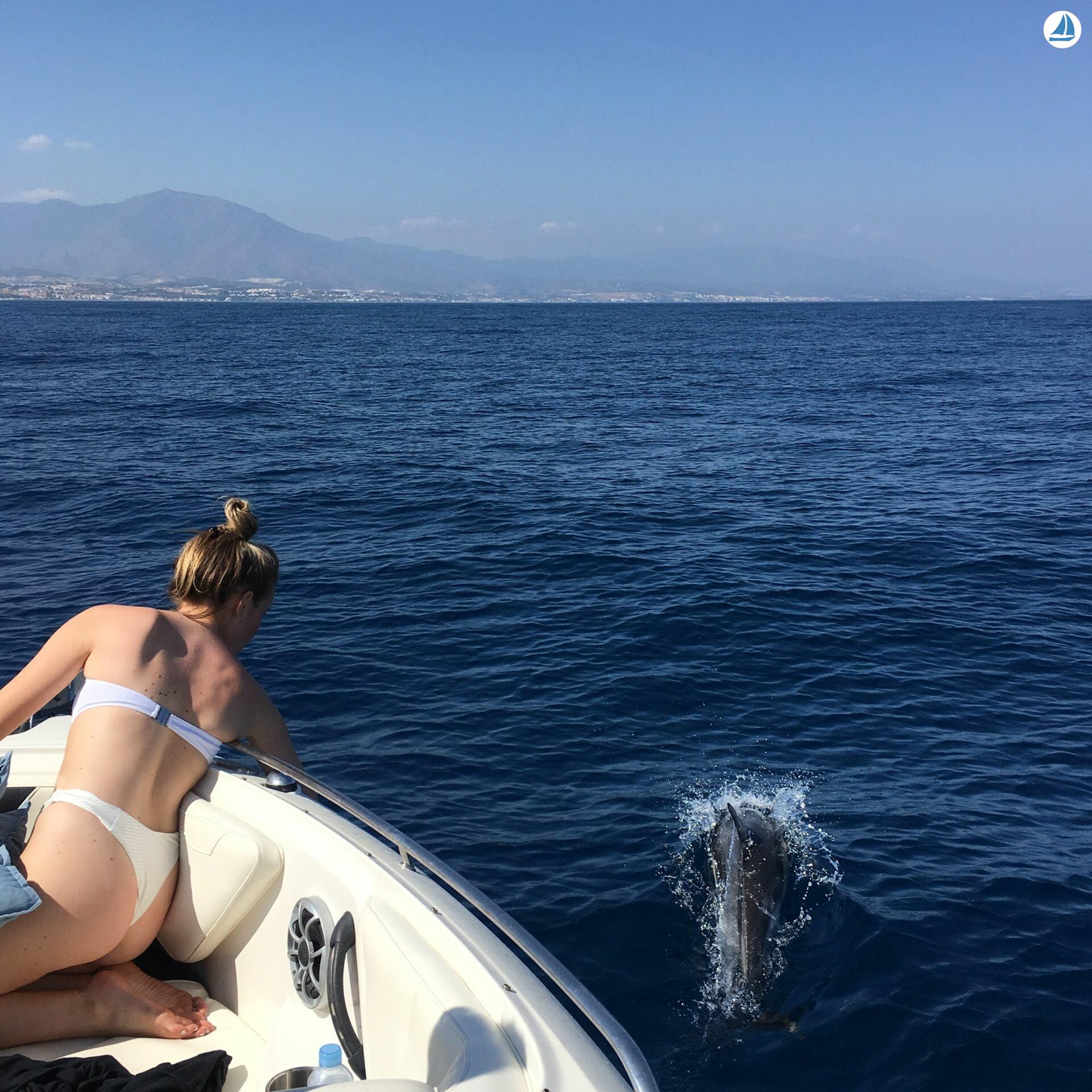 Foto Monterey 264fsx 31