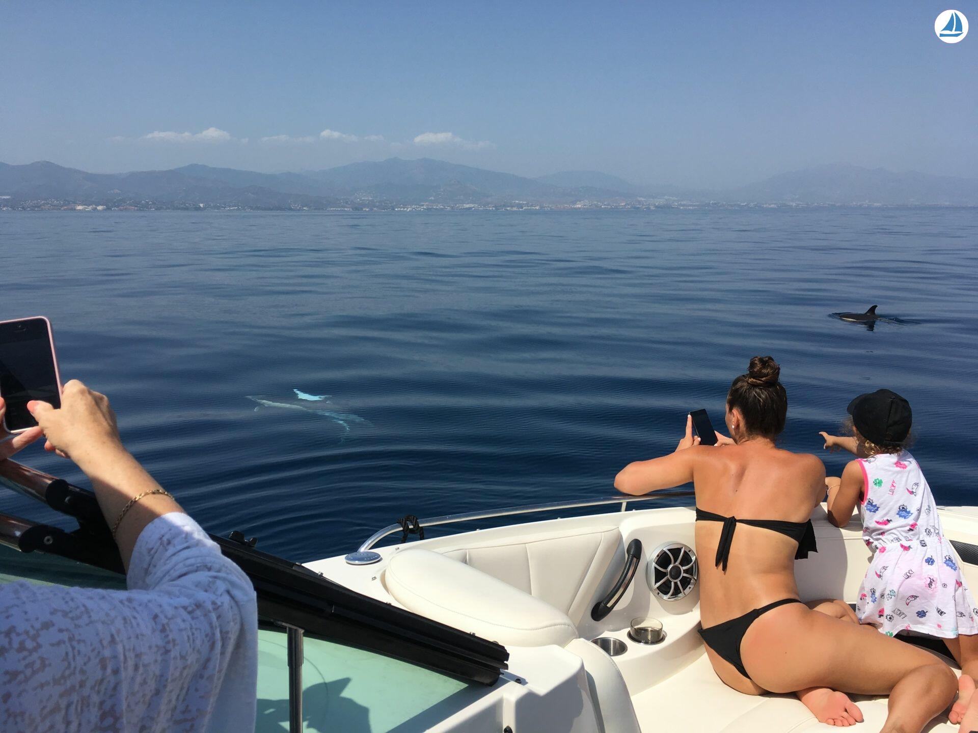 Foto Monterey 264fsx 36