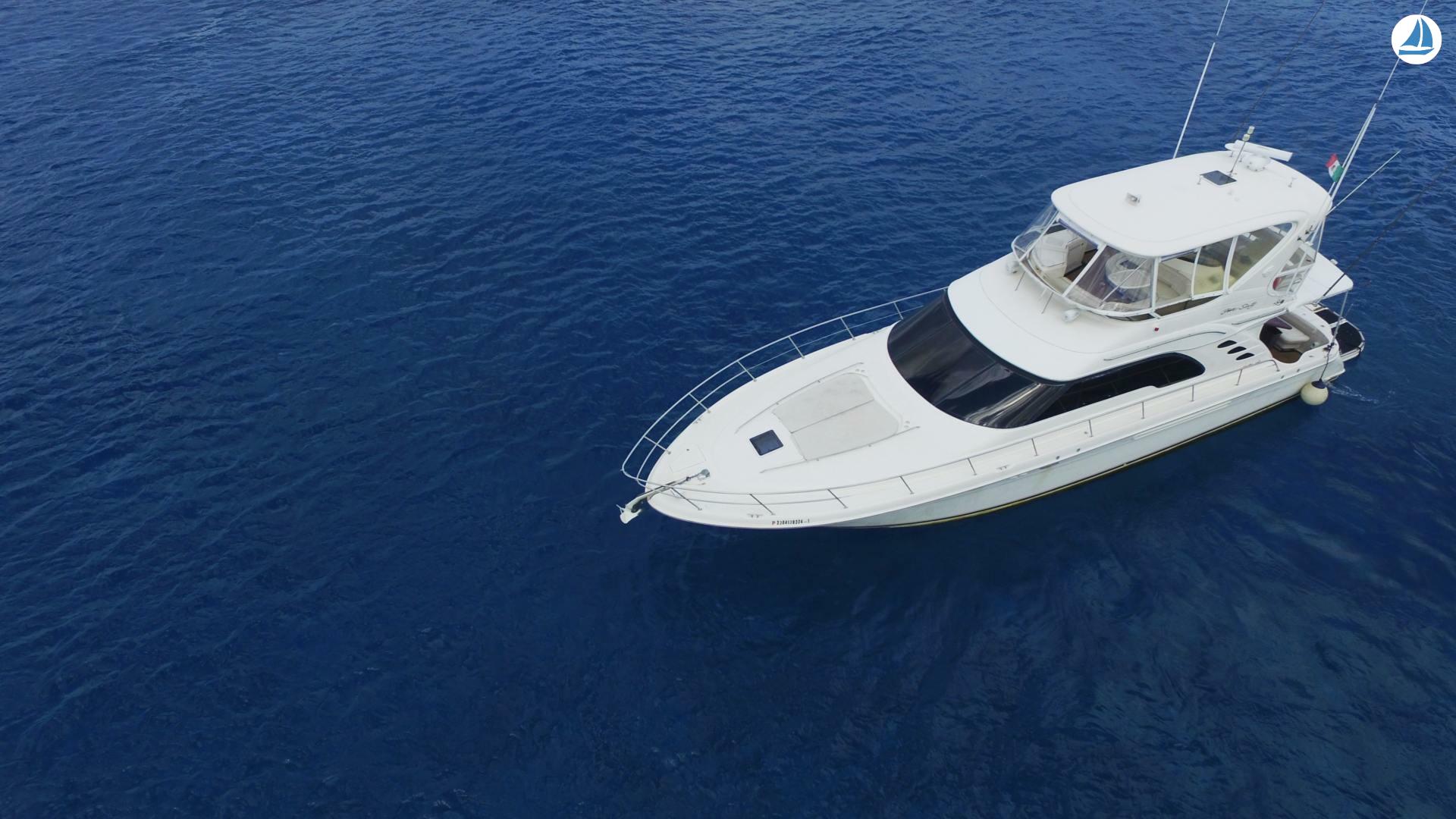 Foto Searay 55 10